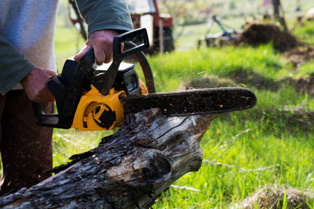 Best Pest Control for Lawns  in Helemano, HI